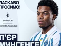 Mungenge - Gravec Dynamo