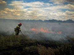 В Николаевской области из-за удара России горело 10 гектаров поля