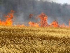 В Николаевской области горела пшеница из-за российских обстрелов