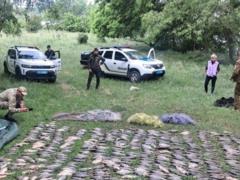 Операция Нерест: у браконьеров изъяли 10 тонн рыбы