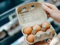 Как долго можно хранить яйца в холодильнике и без, чтобы они не испортились: делимся лайфхаками