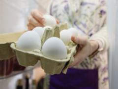 Первые признаки испорченного куриного яйца и как проверить их на свежесть: делимся лайфхаками