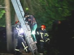 Во Львове женщина залезла на дерево за котом и не смогла спуститься: ее спасли спасатели