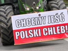 Польша сохранит запрет на часть украинского агроимпорта