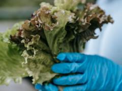 В США зафиксирована массовая вспышка диареи: что могло стать причиной