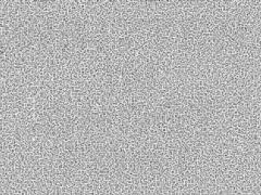 Впервые создан «шрифт-призрак»: человек может прочитать текст, а ИИ — нет