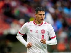 Hoffenheim developed the proposition of Dagima