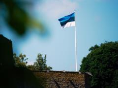 Правительство Эстонии оценило угрозы на границе с Россией