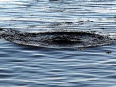 Трое детей упали в воду на Харьковщине: один ребенок погиб