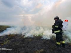 В Славянске пожар сухостоя приблизился к домам