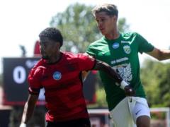 Karpaty saw the ox rout of Krivbas