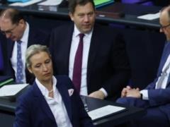 Рейтинг Мерца упал до нового минимума