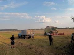 В Винницкой области депутата будут судить за захват 85 га земли