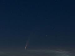 Комета NEOWISE в усьому своєму блиску: вражаюче явище над Адріатикою