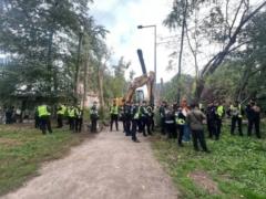 На Теремках возобновили строительство теплотрассы: активисты протестуют против вырубки деревьев