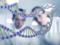 Ученые нашли отличия в работе генов у мужчин и женщин