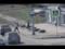У Нижньому Тагілі поліцейські зловили грабіжника, засвітився на камерах відеоспостереження
