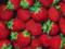 Эти ягоды защищают от опухолей пищевода и полости рта
