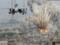 Коаліція завдала ударів по ІГІЛ в Мосулі, загинули 25 мирних жителів