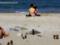 On Odessa beaches in the water and on the sand lies a deadly danger