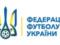 FFU wants to attract an international auditor to review the results of the evaluation of the Desna and Veres
