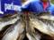 На Харьковщине изъято 300 килограммов рыбы