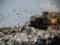 Кабмин предложил оборудовать мусорный полигон в городской черте Львова
