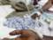 Ужасающая вспышка холеры: в Йемене погибли 1,3 тыс. человек
