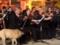 Заблудившийся пес развеселил публику на концерте Венского оркестра