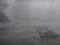У Мережі показали відео моторошного урагану і його наслідків на Донбасі