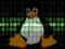 Experts fix the growth in the number of malicious software for Linux