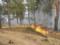 In the Kherson region 20 hectares of forest burns