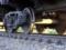 The train injured a man near Kharkov