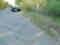 В Житомирской области легковушка слетела в кювет, погибли два человека