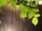 On Friday in Ukraine, thunderstorms and temperature drop