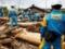 The cyclone leaves the island of Kyushu, leaving a lot of problems
