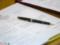 First Swallows. Candidates for the post of governor Sergin and Ionin submit documents to the oblizbirkom