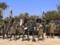  Boko Haram  attacked geologists in Nigeria: there are victims