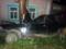 Under Alapaevsky  nine  with the company of teenagers was wound up on a tree. The driver died on the spot