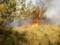 В Україні через спеку бушують лісові пожежі - ГосЧС