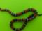 In Kiev, a snake was caught in a house