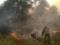 Масштабный пожар леса на Николаевщине ликвидирован