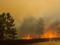 Пожары в лесах Днепропетровской, Николаевской и Херсонской областях локализованы
