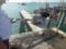 На Кубани автобус упал в воду: 14 погибших