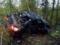 On the Serov tract, BMW flew into a ditch and laid a clearing in the forest. Two died, three were hospitalized