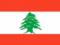 Кордон Сирії та Лівану повністю звільнена від бойовиків ІГ