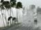 Жертвами урагана  Ирма  на островах Карибского моря стали восемь человек