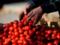 Турецьких помідорів передрекли повернення на російський ринок в жовтні