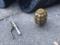 Police detained a man with a grenade in Kiev