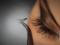 Чем опасны искусственные ресницы для здоровья глаз